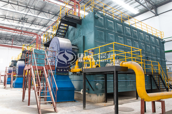 58MW SZS系列环保成都热水锅炉项目